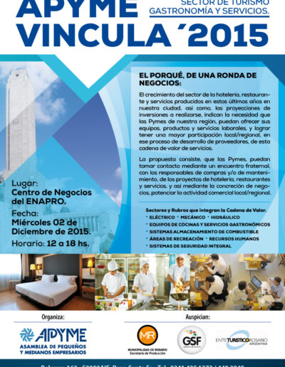 APYME VINCULA 2015-01